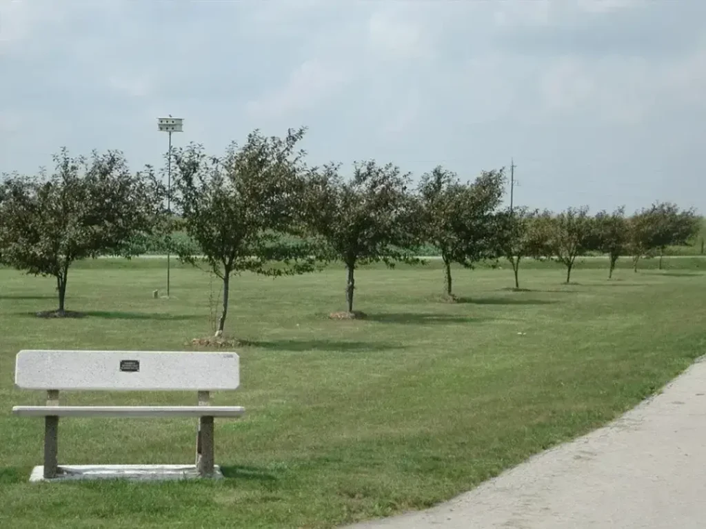 A serene park bench surrounded by lush green trees and grass.